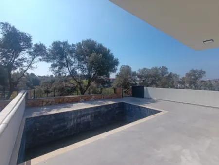 3 1 Villa Mit Pool Im Zentrum Von Aydin Didim