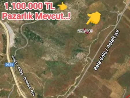 Olivenhain Zum Verkauf In Mugla Milasta Zu Einem Erschwinglichen Preis